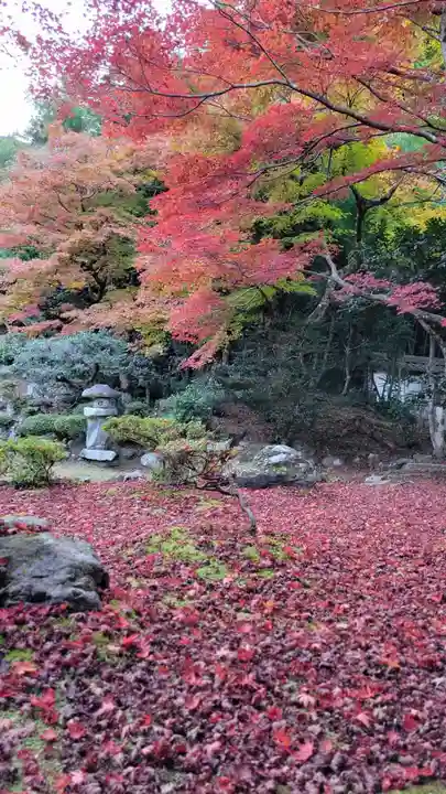 清滝寺徳源院(滋賀県)