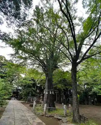 赤坂氷川神社(東京都)