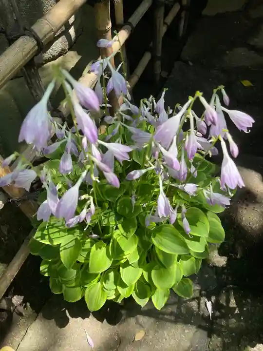 上野東照宮の自然