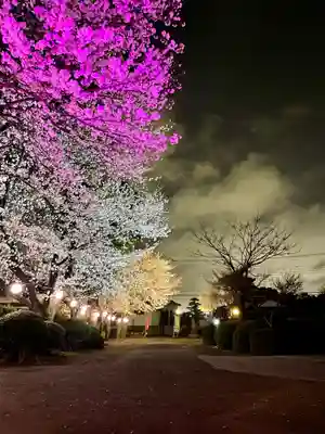 常在寺(神奈川県)
