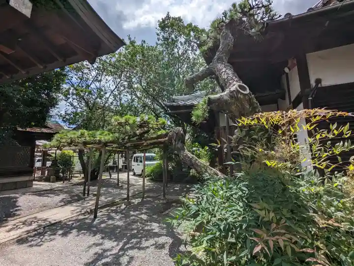 下御霊神社(京都府)