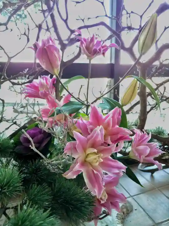 座間神社の{uncategorized: "未分類", other: "その他", undefined: "問題あり", building: "その他建物", grave: "お墓", sacred_gate: "鳥居", guardian: "狛犬", statue: "像", buddha: "仏像", history: "歴史", nature: "自然", garden: "庭園", animal: "動物", pagoda: "塔", temizu: "手水舎", mountain_gate: "山門・神門", sanctuary: "本殿・本堂", subordinate: "末社・摂社", art: "芸術", scenery: "景色", jizo: "地蔵", ema: "絵馬", goshuin: "御朱印", omikuji: "おみくじ", items: "授与品その他", amulet: "お守り", goshuincho: "御朱印帳", eats: "食事", festival: "お祭り", votive_dance: "神楽", shichigosan: "七五三参", wedding: "結婚式", experience: "体験その他", initially: "初詣", around: "周辺", anti_infection: "感染症対策"}