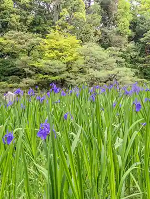 平安神宮(京都府)