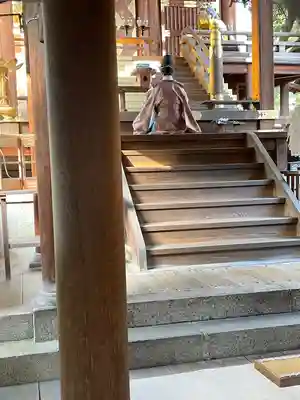 今宮神社の本殿・本堂