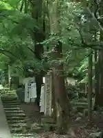 醍醐寺(上醍醐)の自然