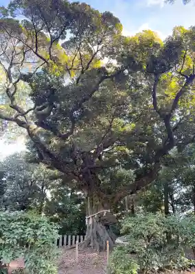 新日吉神宮(京都府)