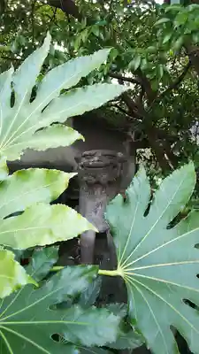 白滝不動尊の狛犬