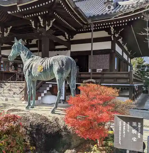 橘寺の狛犬