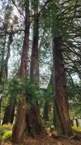 玉桂寺の{uncategorized: "未分類", other: "その他", undefined: "問題あり", building: "その他建物", grave: "お墓", sacred_gate: "鳥居", guardian: "狛犬", statue: "像", buddha: "仏像", history: "歴史", nature: "自然", garden: "庭園", animal: "動物", pagoda: "塔", temizu: "手水舎", mountain_gate: "山門・神門", sanctuary: "本殿・本堂", subordinate: "末社・摂社", art: "芸術", scenery: "景色", jizo: "地蔵", ema: "絵馬", goshuin: "御朱印", omikuji: "おみくじ", items: "授与品その他", amulet: "お守り", goshuincho: "御朱印帳", eats: "食事", festival: "お祭り", votive_dance: "神楽", shichigosan: "七五三参", wedding: "結婚式", experience: "体験その他", initially: "初詣", around: "周辺", anti_infection: "感染症対策"}