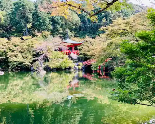 醍醐寺(京都府)