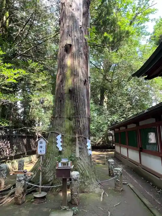 一言主神社(茨城県)