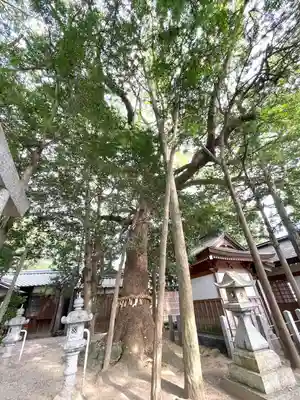 八雲神社(三重県)