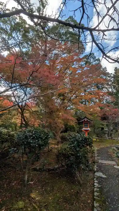 十輪寺(京都府)