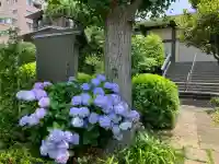 法安寺(神奈川県)