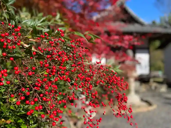 常樂寺(滋賀県)