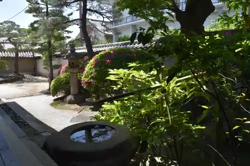 観智院（東寺子院）の庭園