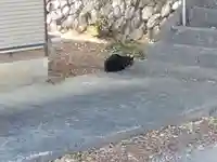 貴船神社(静岡県)