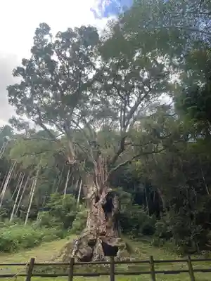 武雄神社(佐賀県)