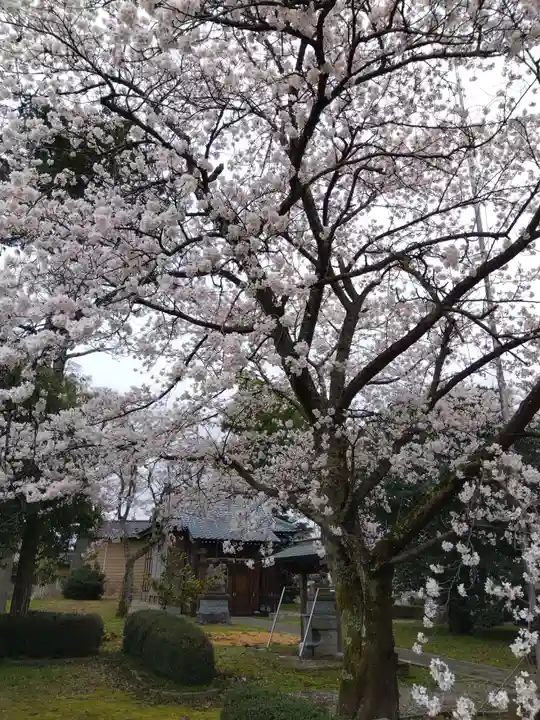 白山神社(福井県)