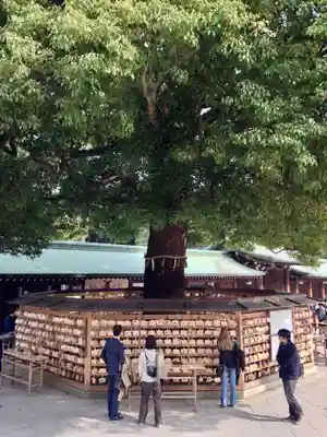 明治神宮(東京都)