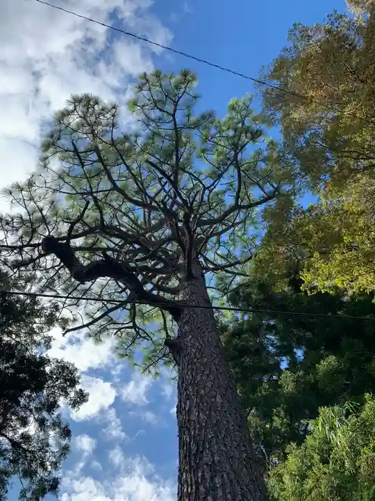 素鵞熊野神社(茨城県)
