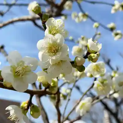 妙法寺(神奈川県)