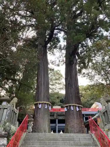 八幡朝見神社の自然