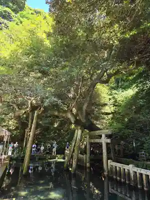 鹿島神宮(茨城県)
