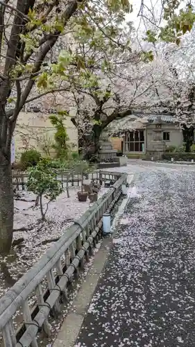 墨染寺（桜寺）(京都府)