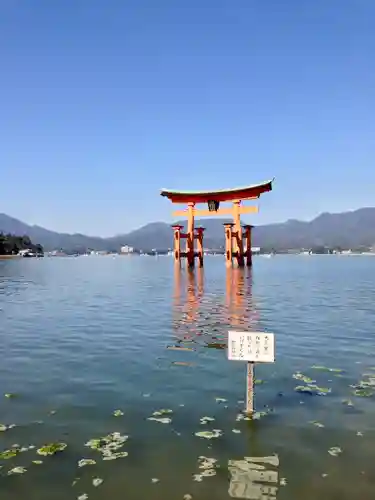 厳島神社の鳥居