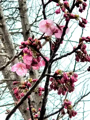 阿邪訶根神社(福島県)