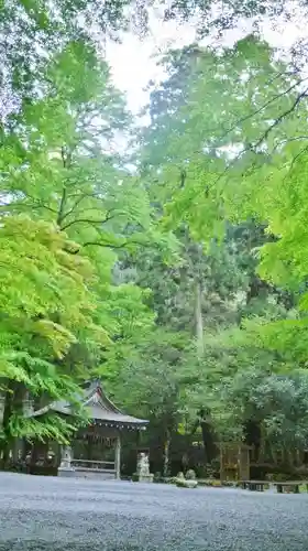 貴船神社の自然