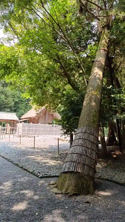 伊雜宮(皇大神宮別宮)の自然