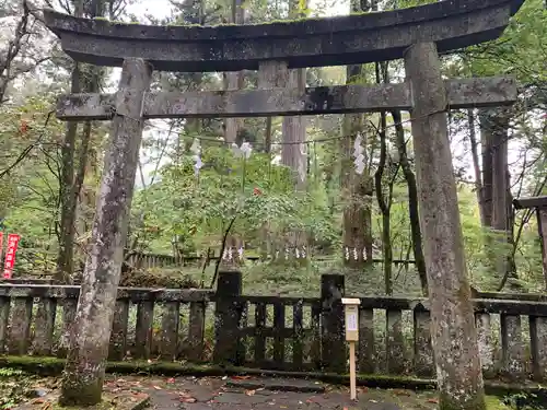 瀧尾神社（日光二荒山神社別宮）の鳥居