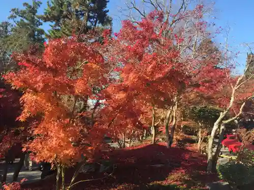 禅林寺（永観堂）の景色