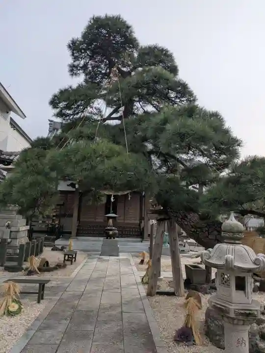 瑞光寺(東京都)