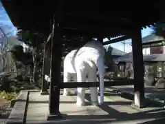 観音寺(埼玉県)