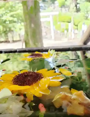 鳩森八幡神社の手水舎