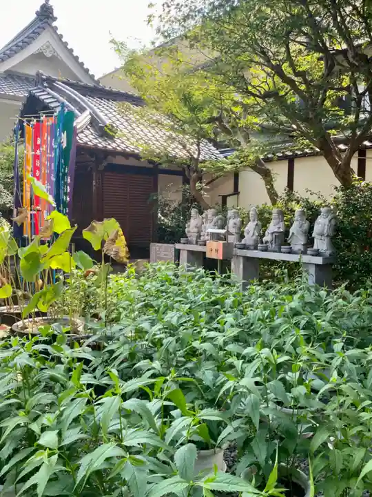 行願寺(革堂)の像