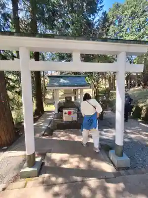 白龍神社の{uncategorized: "未分類", other: "その他", undefined: "問題あり", building: "その他建物", grave: "お墓", sacred_gate: "鳥居", guardian: "狛犬", statue: "像", buddha: "仏像", history: "歴史", nature: "自然", garden: "庭園", animal: "動物", pagoda: "塔", temizu: "手水舎", mountain_gate: "山門・神門", sanctuary: "本殿・本堂", subordinate: "末社・摂社", art: "芸術", scenery: "景色", jizo: "地蔵", ema: "絵馬", goshuin: "御朱印", omikuji: "おみくじ", items: "授与品その他", amulet: "お守り", goshuincho: "御朱印帳", eats: "食事", festival: "お祭り", votive_dance: "神楽", shichigosan: "七五三参", wedding: "結婚式", experience: "体験その他", initially: "初詣", around: "周辺", anti_infection: "感染症対策"}