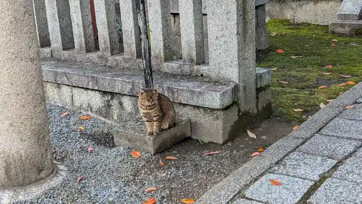 本満寺(本願満足寺)の動物