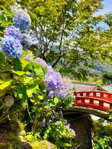 熊野那智大社の庭園