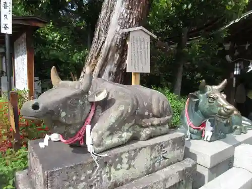 長岡天満宮の狛犬