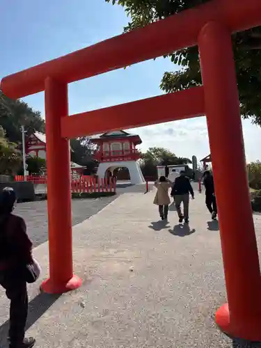 龍宮神社(鹿児島県)