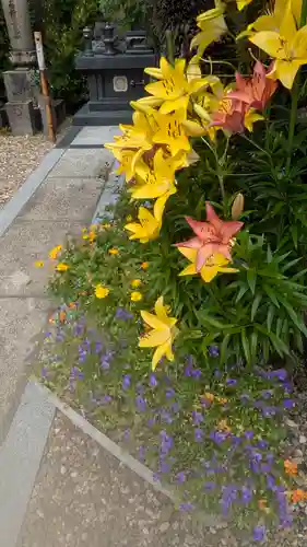 正福寺(大阪府)