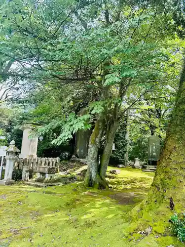足羽神社(福井県)