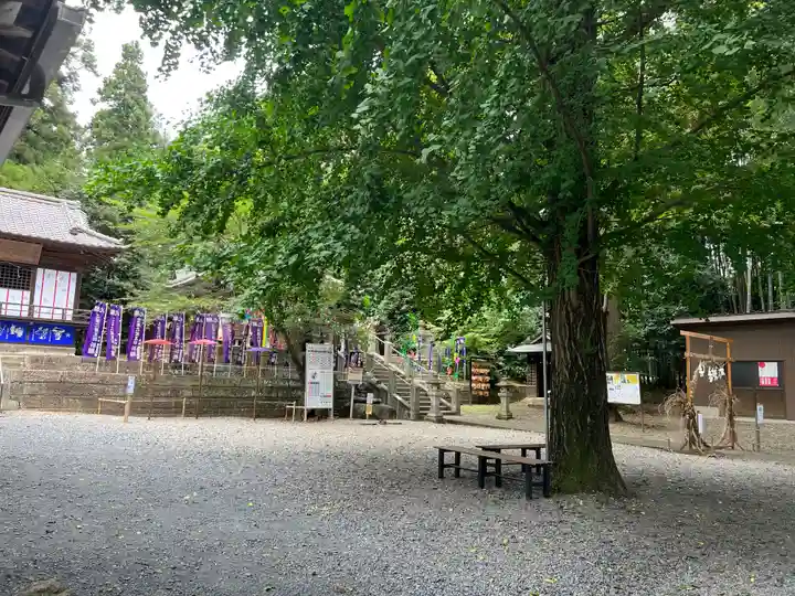 下野 星宮神社のその他建物