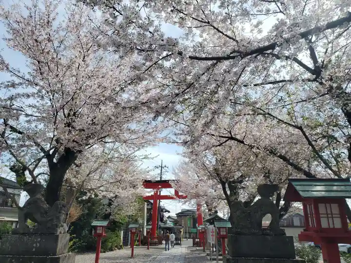 鷲宮神社(埼玉県)