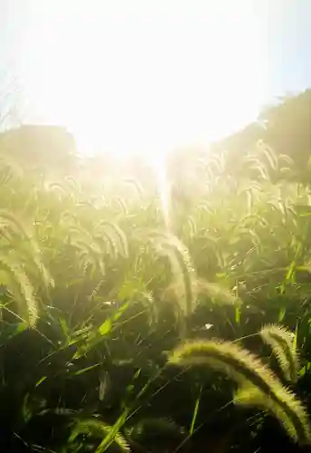 秋葉神社の周辺