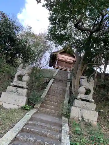 高泊神社の狛犬